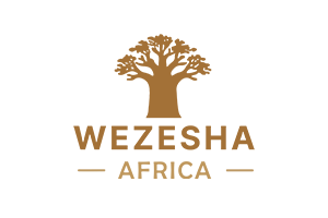 Wezesha Africa main logo